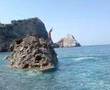 Gli alligatori entrano in acqua