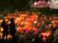Amr Diab & the 4 Cats in SF - Part II