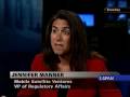 The Communicators: The Commercial Satellite Industry