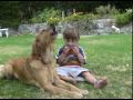 Singing Golden Retriever and my wacky son Dashiel