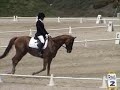 USPC 07 Championships KY - Dressage