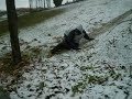 POPI PRIMERA TIRADAA! POPI PRIMERA TIRADAA!