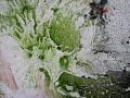 richyroosa 