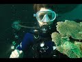Video Bixente Lizarazu