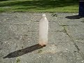 Le Banger In Une Bottle
