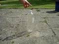 Le Banger In Une Bottle