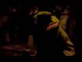 videos de sherek na night