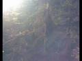 videos de Zweiter Streich