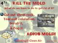 7 Steps to Kill Mold
