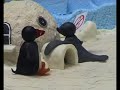 Pingu Pingu