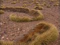 el-paisaje-de-la-parte-del-noroeste-de-argentina.html