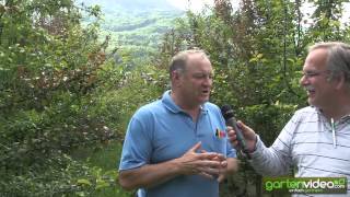 #198 Interview with Harvey Hall from Shekinah Berries - part 2 