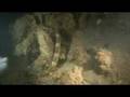 Hippocampus and friends