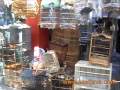 Bratang Traditional Bird Market - Surabaya - East Java
