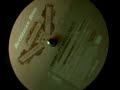 Nuyorican Soul - Runaway (Spanish Underground Mix) Vocals -
