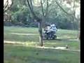 quad