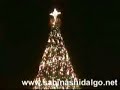 árbol de navidad y villancicos