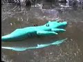 In The Slick of the Crocodile