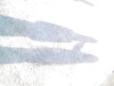 Sombras 2