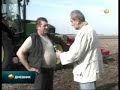 Beri?et za glavobolju - kilo kukuruza 5,5 dinara