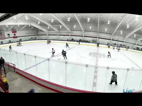 TJ Pomfret Forechecking vs. St. George's