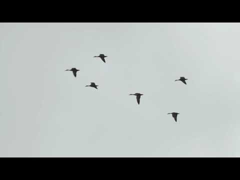 강진만 A로의 초대