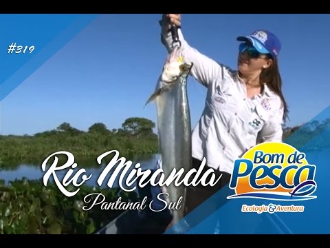 Rio Miranda - Mato Grosso do Sul (Pantanal)