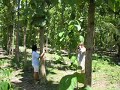 Teak Investment | Safe Investment-www.teakinfo.com