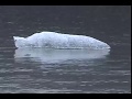 Calling Kulu, The Ice King