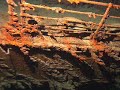 Titanic II: The Sequel Titanic II: The Sequel