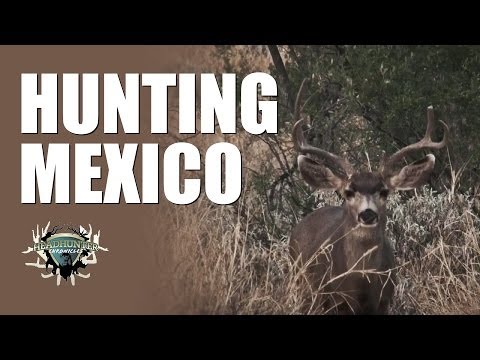 Headhunter Chronicles – Mexico