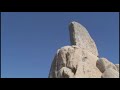 Joshua Tree 2008