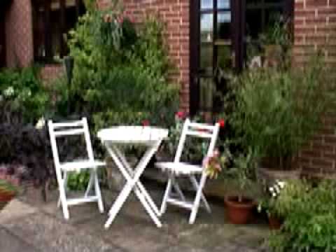 Hoggywart - Martin Fish from Garden News with top tips on how to get the most from your patio this summer.