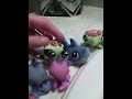 lps : petshop aquatique a la picine