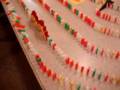 RALLY DOMINO ANDY #1
