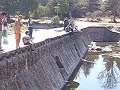 Pachi saltando de un dique en Cordoba