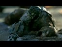 halo 3 maqueta
