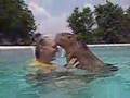 Caplin Rous Pool Kisses