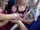Baby Chick Petting