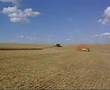 STS 9750 na colheita de trigo