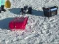 Traxxa E-maxx 3905 & Zk-2 first snow bashing  ( stuck bmw X5 )