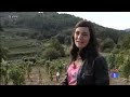 José Luis Cuerda y el Vino.flv
