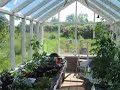 Window film/tint in greenhouse - Solfilm i drivhus Window film/tint in greenhouse - Solfilm i drivhus