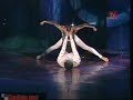 .::Leticia Zamorano::. La Magia del Cisne