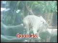 Thaicom Pataya Trip \"2006\"