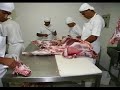 Cordeiro Brasileiro-Ovinos,caprinos,Presidente Prudente Cordeiro Brasileiro-Ovinos,caprinos,Presidente Prudente