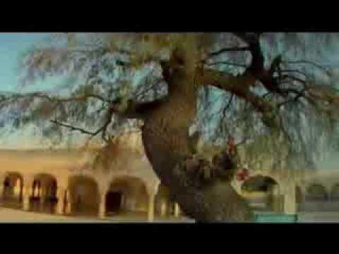 Nankana Sahib Baba Guru Nanak Sahib