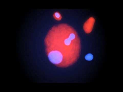 Image de prévisualisation YouTube