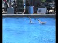 Masters Free Duet