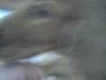 videos de Abril embarazada